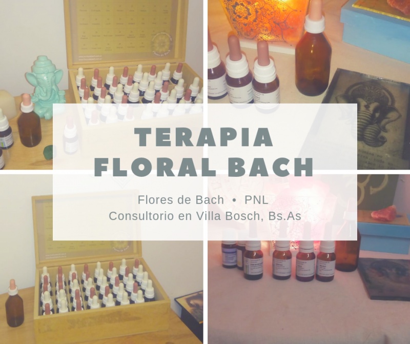Flores de Bach en Villa Bosch